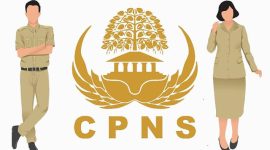 CPNS dan PPPK 2023. Ilustrasi