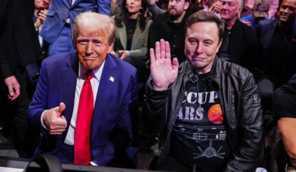 Donald Trump and Elon Musk at a UFC fight in New York