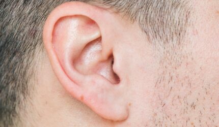 Ear Stock Image