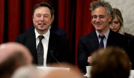 Tesla CEO Elon Musk (L) and Palantir CEO Alex Karp appear together on Capitol Hill