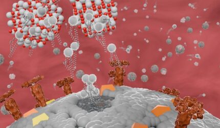 Interaksi antara virus yang diselimuti dan nanopartikel titanate