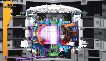 Skema tokamak iter