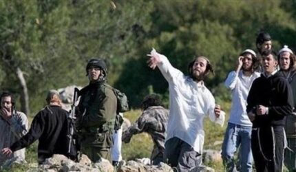 Pemukim Israel membakar tanaman gandum di Burqa Plain, Nablus