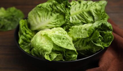 Semangkuk selada romaine hijau segar