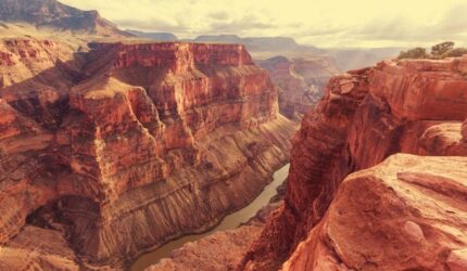 Paleontologi Paleontologi menemukan trove harta karun fosil berusia setengah miliaran yang aneh di Grand Canyon
