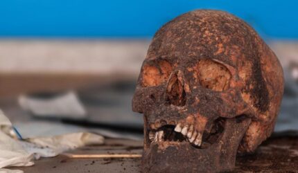 Arkeologi tengkorak manusia kuno