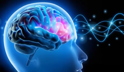 Perawatan Sinyal Saraf Gelombang Otak Kepala Manusia