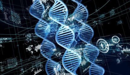 Konsep DNA Rekayasa Genetika