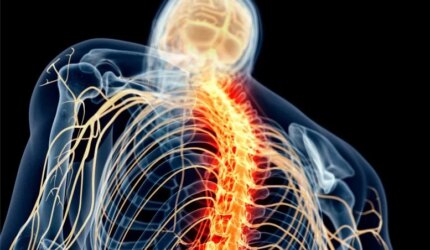 “Peta Rasa Sakit” Otak Ditemukan: Para Ilmuwan Menemukan Jalan Bebas Opioid menuju Bantuan 2 Ilustrasi Nyeri Saraf Tulang Belakang