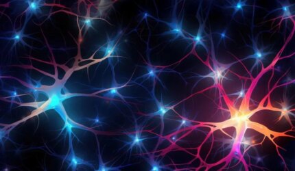 Psikiater Harvard Mengatakan Penyakit Mental Dimulai dari Sel Anda 3 Koneksi Neuron Sel Otak Jaringan Syaraf yang Diterangi