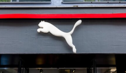 Pumas Berkeliaran Saat PHK dan Saingan Pemula Berkumpul di Lapangan 3 Puma Berkeliaran Saat PHK dan Saingan Pemula Berkumpul di Lapangan