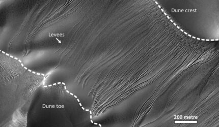 Kawah Mars Dune Gullies Russell