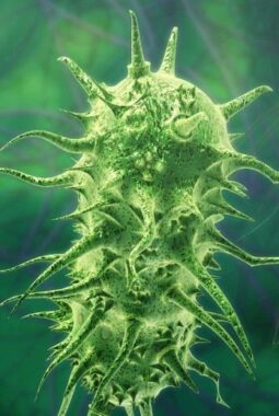 berita-rekomendasi-foto