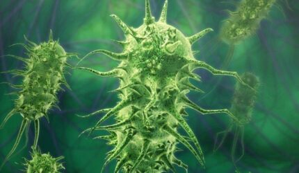 Ilustrasi Konsep Bakteri Menular