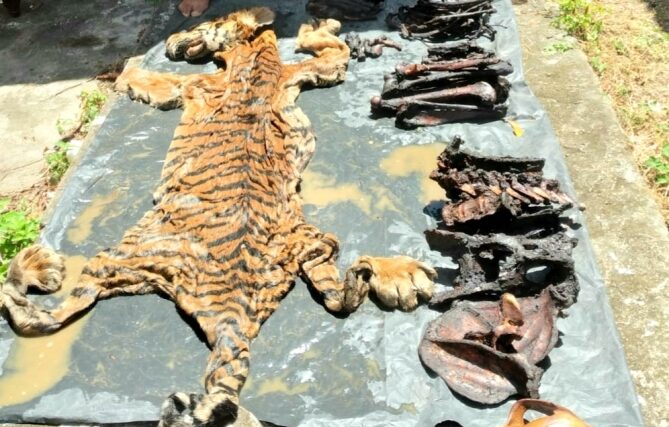 foto slider headline