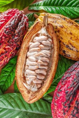 berita-rekomendasi-foto