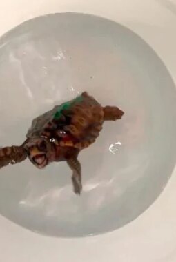 berita-rekomendasi-foto