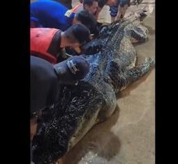 berita-rekomendasi-foto