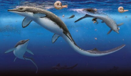 Reptil Laut Purba di Awal Zaman Dinosaurus