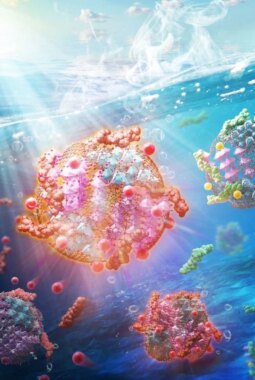 berita-rekomendasi-foto