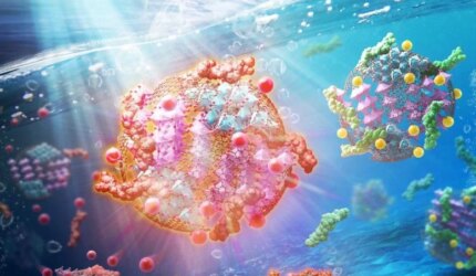 Katalis Komposit Multifungsi untuk Remediasi Air yang Sangat Efisien