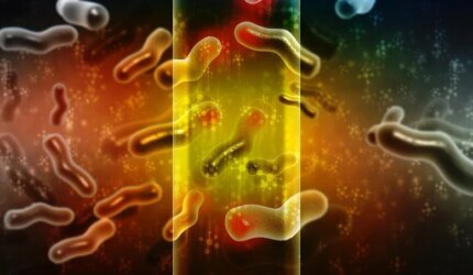 Mikroba Mikroskopis Bakteri Biokimia