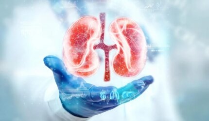 Hologram Medis Ginjal