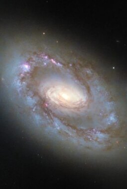 berita-rekomendasi-foto