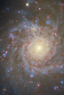 berita-rekomendasi-foto