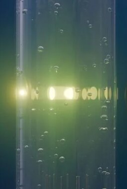 berita-rekomendasi-foto