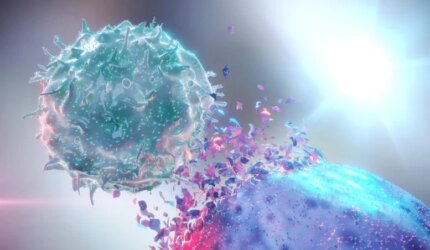 Pembunuh Alami NK Menghancurkan Sel Kanker