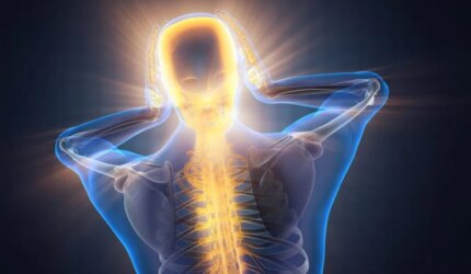 Ilustrasi Tulang Belakang Leher Otak Sakit Lebar