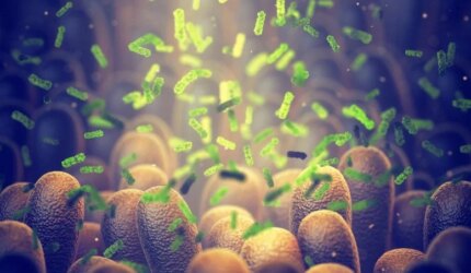 Mikrobioma Bakteri Usus Usus