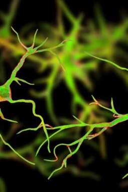 berita-rekomendasi-foto