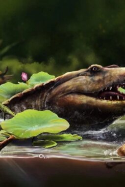 berita-rekomendasi-foto