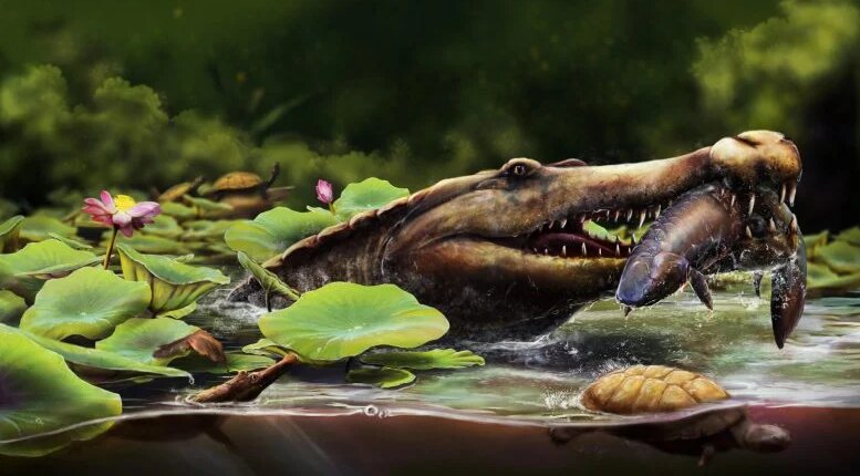 foto slider headline