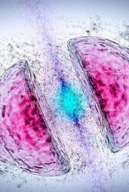 berita-rekomendasi-foto