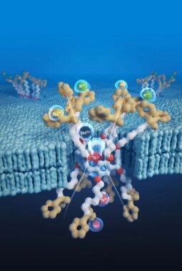 berita-rekomendasi-foto
