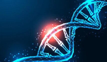 Perbaikan Kerusakan DNA Mutasi Genetik