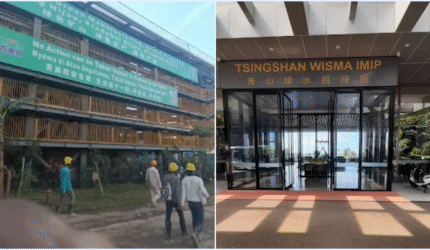 Jejak Kepemilikan IMIP hingga Mayoritas Saham Dikuasai Investor China