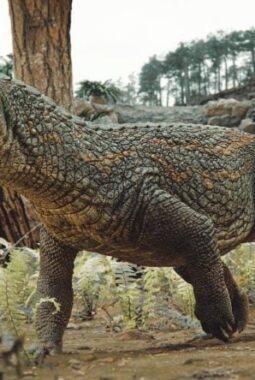 berita-rekomendasi-foto