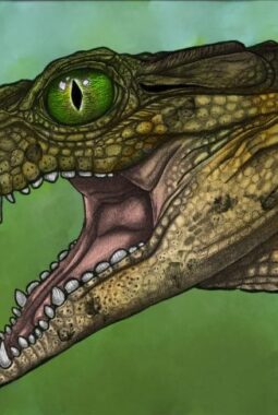 berita-rekomendasi-foto