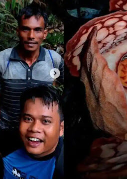 berita-rekomendasi-foto