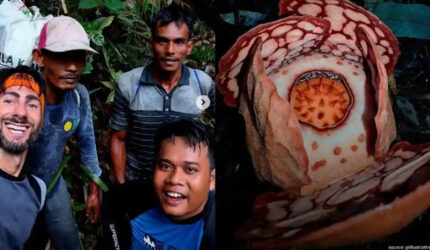 Keras! Anies Kritik Universitas Oxford yang Tidak Sebut Peneliti Indonesia Ikut Temukan Rafflesia Hasseltii