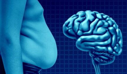 Otak Tubuh Perut Obesitas