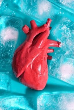 berita-rekomendasi-foto