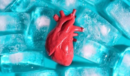 Transplantasi Organ Es Batu Model Jantung Manusia