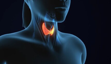 Kelenjar Tiroid Wanita Anatomi Manusia