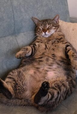 berita-rekomendasi-foto