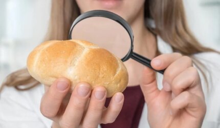 Ilmuwan Meneliti Roti Roti